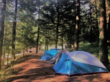 Terreny d'acampada